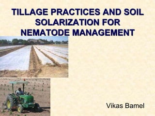 TILLAGE PRACTICES AND SOIL
SOLARIZATION FOR
NEMATODE MANAGEMENT
Vikas Bamel
 