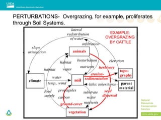 Overgrazing Graph Soil systems-powerpoint-compressed-final | PPTX