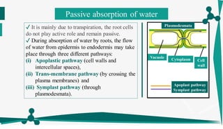 Soil-Water System_organized.pdf