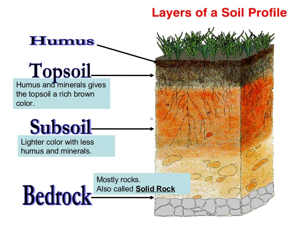 One soil