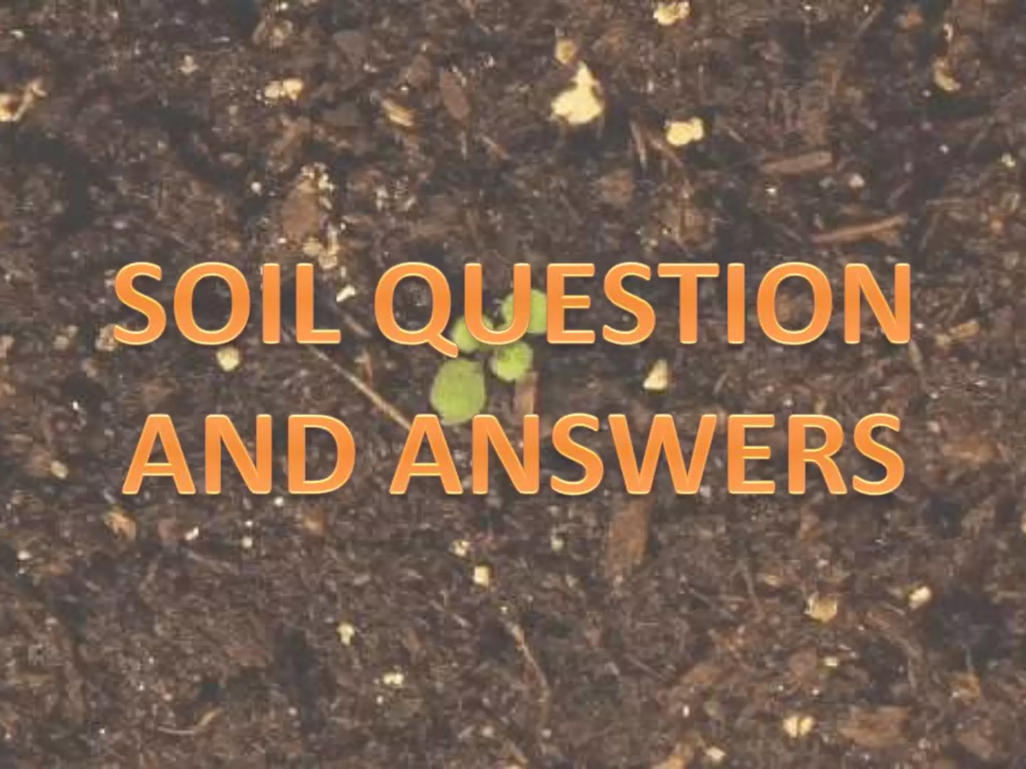 Soil Questions Soil Question And Answers | PPTX