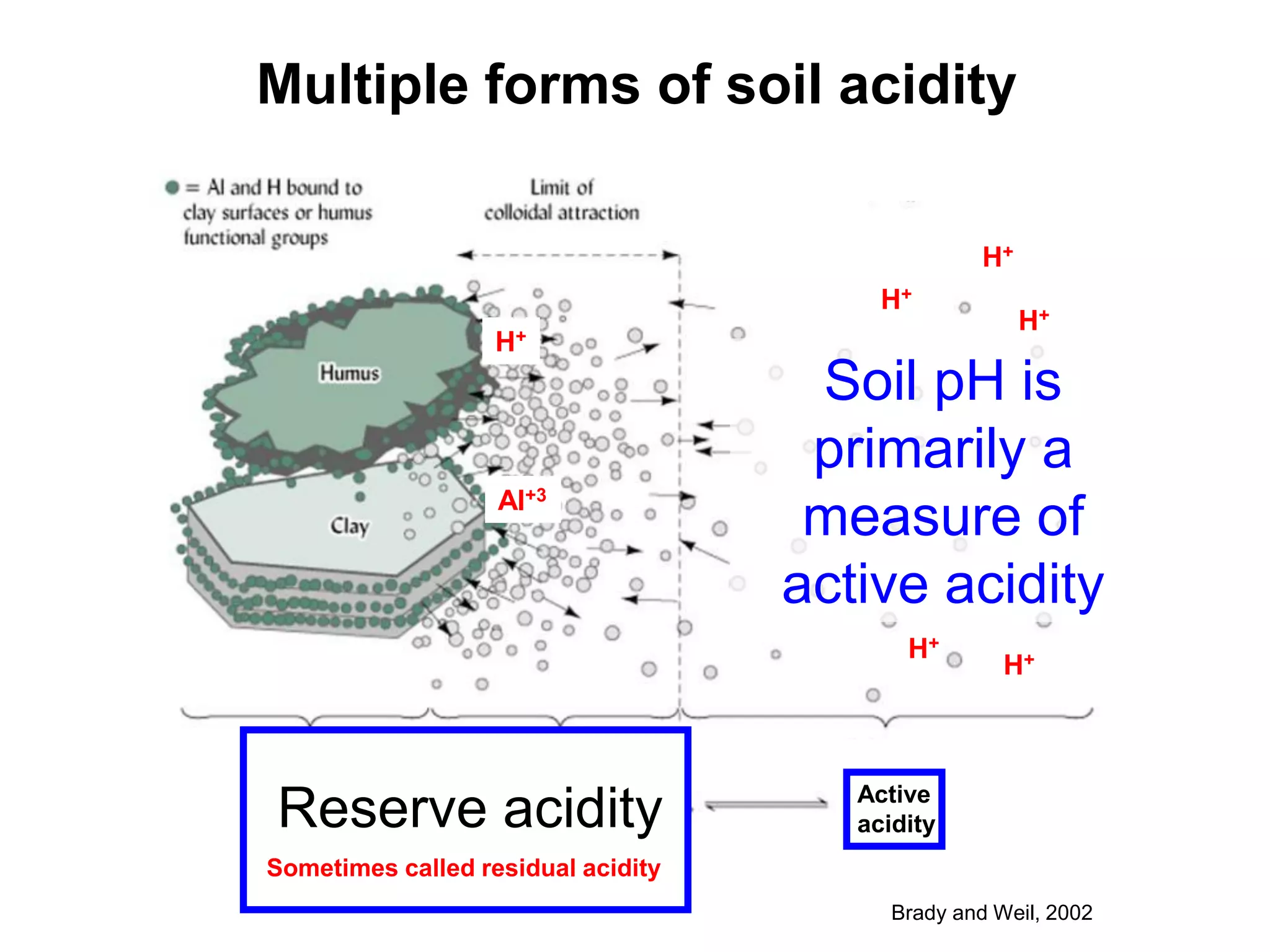 Multiple forms of soil acidity

                                                   H+
                                         H+
                                                        H+
                   H+
                                     Soil pH is
                                     primarily a
                   Al+3
                                     measure of
                                    active acidity
                                           H+
                                                     H+



                                       Active
Reserve acidity                        acidity
Sometimes called residual acidity
                                          Brady and Weil, 2002
 