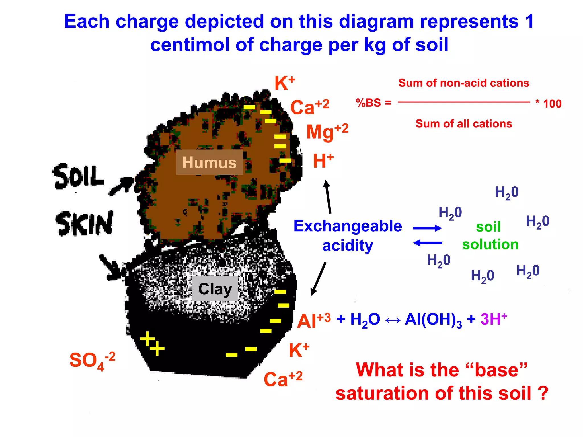 Each charge depicted on this diagram represents 1
        centimol of charge per kg of soil
                         K+                     Sum of non-acid cations

                      --
                                                _____________________

                       --
                                        %BS =
                          Ca+2                                            * 100
                                                   Sum of all cations

                        -
                            Mg+2
                Humus    -  H+
                                                                   H20
                                                       H20
                          Exchangeable
                          exchangeable                       soil   H20
                             acidity
                             cations                       solution
                                                     H20
                                                                        H20
                       -
                                                             H20

                        - Al
                 Clay

                      -- K
                                 +3   + H2O ↔ Al(OH)3 + 3H+
           +
SO4   -2    +       --       +
                                        What is the “base”
                        Ca+2
                                      saturation of this soil ?
 