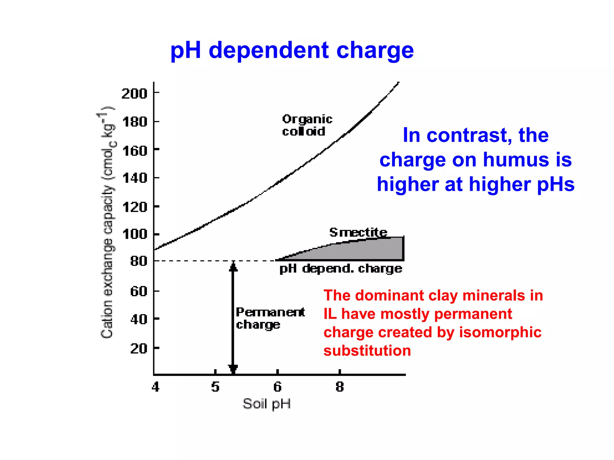 pH dependent charge


                    In contrast, the
                 charge on humus is
                 higher at higher pHs




           The dominant clay minerals in
           IL have mostly permanent
           charge created by isomorphic
           substitution
 