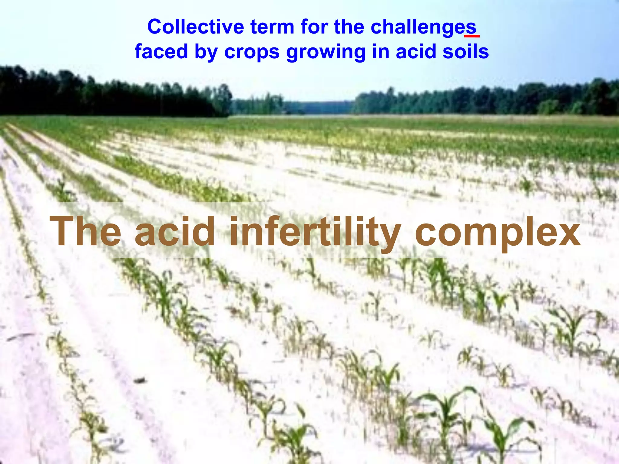 Collective term for the challenges
    faced by crops growing in acid soils




The acid infertility complex
 
