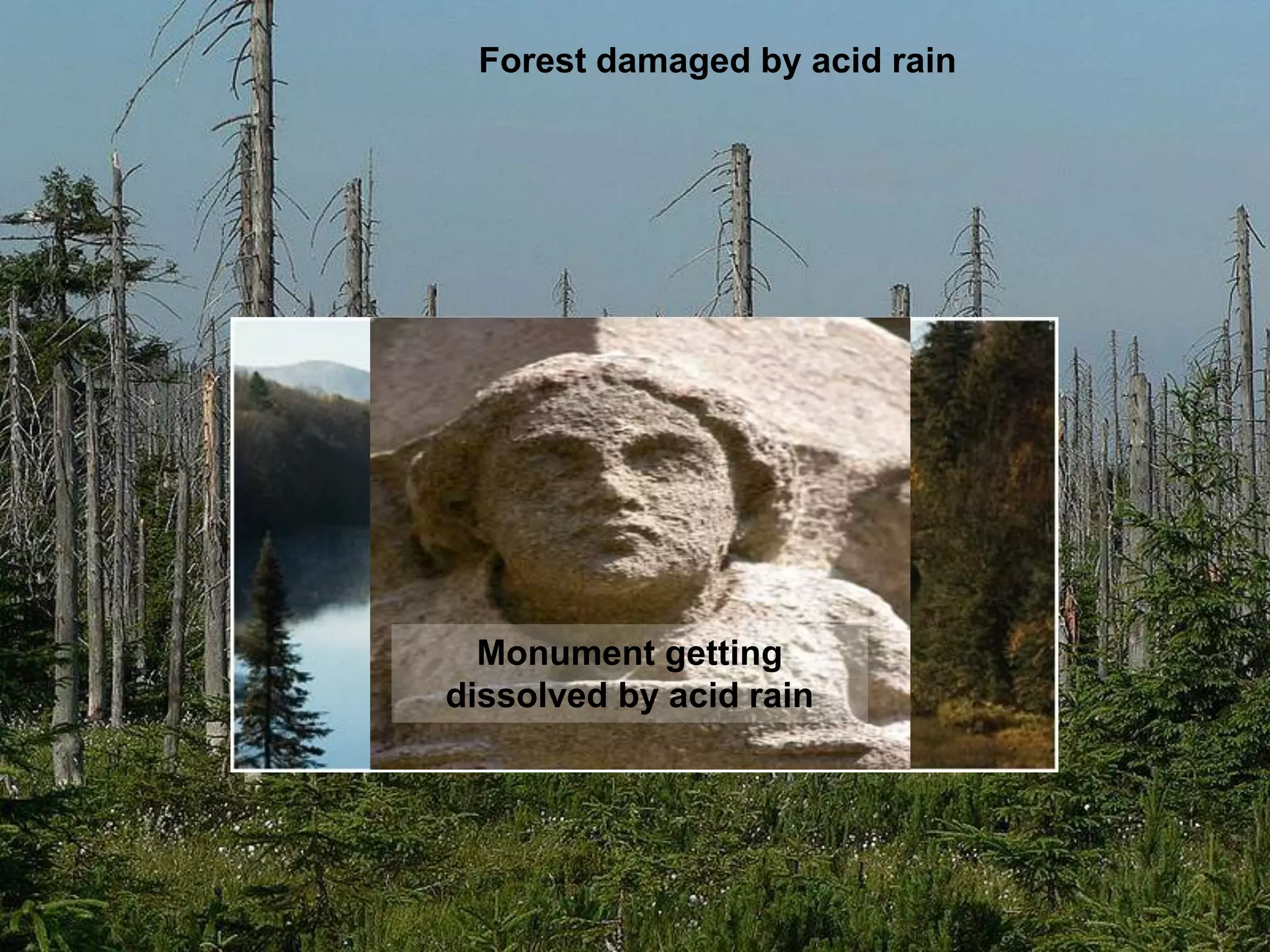 Forest damaged by acid rain




Looks great but
 may be devoid
of life Monument getting
        if acid rain
 has created Al by acid rain
     dissolved
      toxicity
 