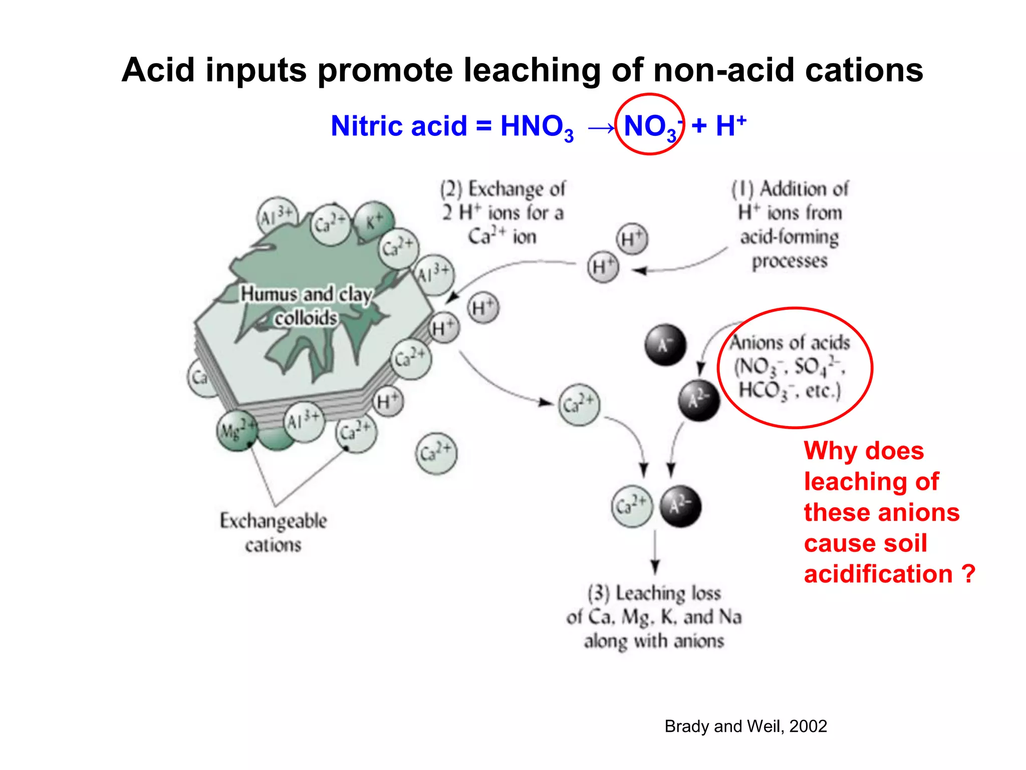Acid inputs promote leaching of non-acid cations
            Nitric acid = HNO3 → NO3- + H+




                                                     Why does
                                                     leaching of
                                                     these anions
                                                     cause soil
                                                     acidification ?




                                    Brady and Weil, 2002
 