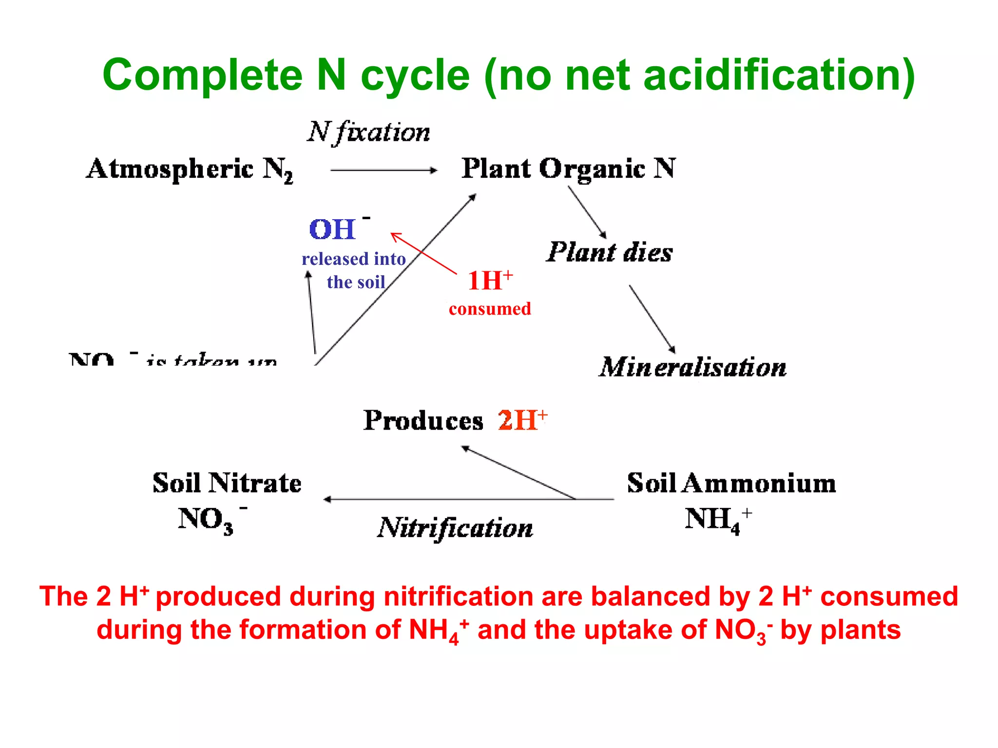 Complete N cycle (no net acidification)


                   released into
                      the soil      1H+
                                   consumed



                                                         1H+
                                                NH3     consumed




The 2 H+ produced during nitrification are balanced by 2 H+ consumed
    during the formation of NH4+ and the uptake of NO3- by plants
 