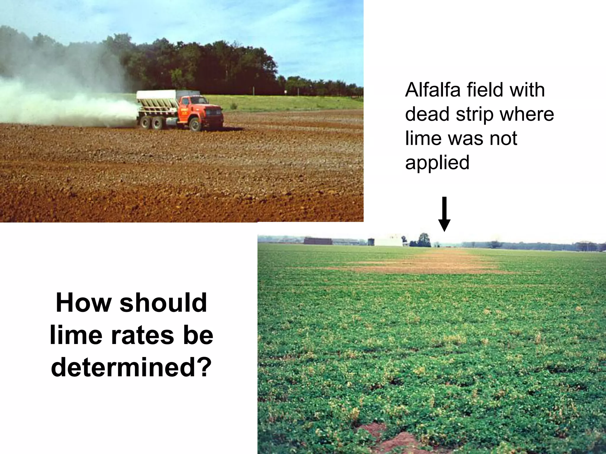 Alfalfa field with
                dead strip where
                lime was not
                applied




 How should
lime rates be
determined?
 