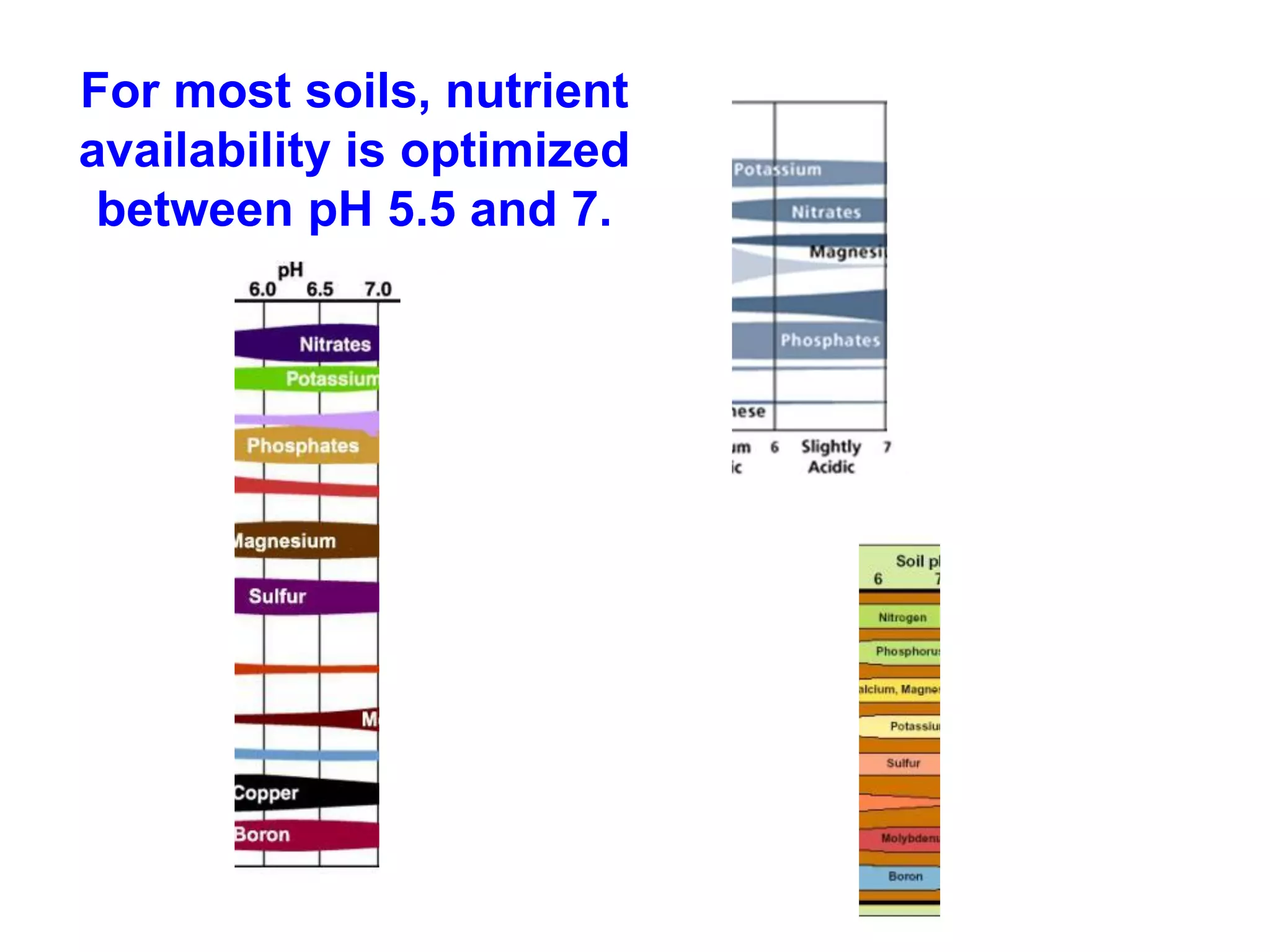 For most soils, nutrient
availability is optimized
 between pH 5.5 and 7.
 