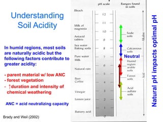Understanding




                                              Natural pH impacts optimal pH
     Soil Acidity

In humid regions, most soils
are naturally acidic but the
following factors contribute to     Neutral
greater acidity:

- parent material w/ low ANC
- forest vegetation
- ↑duration and intensity of
  chemical weathering

 ANC = acid neutralizing capacity


Brady and Weil (2002)
 