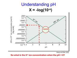 Understanding pH
               pH = -log(10-x)
                X -log(H+)



                               neutral




                                            Brady and Weil, 2002

So what is the H+ ion concentration when the pH = 6?
 