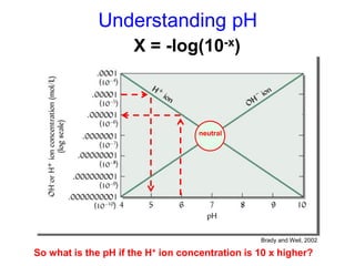 Understanding pH
                   pH = -log(10-x)
                    X -log(H+)



                                    neutral




                                                 Brady and Weil, 2002

So what is the pH if the H+ ion concentration is 10 x higher?
 