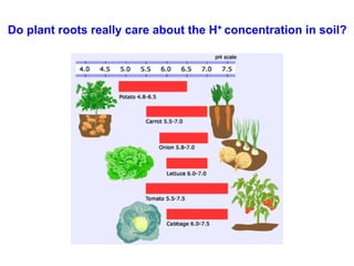 Do plant roots really care about the H+ concentration crops
 Optimum pH ranges have been proposed for many in soil?
 