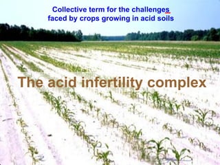 Collective term for the challenges
    faced by crops growing in acid soils




The acid infertility complex
 