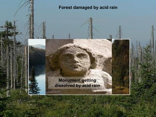Forest damaged by acid rain




Looks great but
 may be devoid
of life Monument getting
        if acid rain
 has created Al by acid rain
     dissolved
      toxicity
 