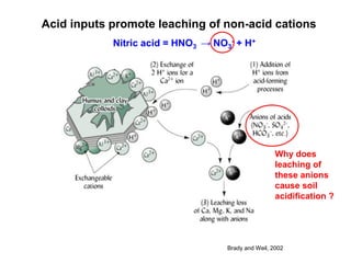 Acid inputs promote leaching of non-acid cations
            Nitric acid = HNO3 → NO3- + H+




                                                     Why does
                                                     leaching of
                                                     these anions
                                                     cause soil
                                                     acidification ?




                                    Brady and Weil, 2002
 