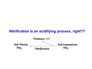released into
              the soil      1H+
                           consumed
Nitrification is an acidifying process, right??
                                             1H+
                                      NH3   consumed
 