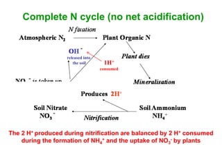 Complete N cycle (no net acidification)


                   released into
                      the soil      1H+
                                   consumed



                                                         1H+
                                                NH3     consumed




The 2 H+ produced during nitrification are balanced by 2 H+ consumed
    during the formation of NH4+ and the uptake of NO3- by plants
 