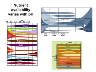 Nutrient
  availability
varies with pH
 