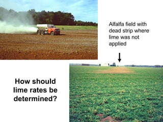 Alfalfa field with
                dead strip where
                lime was not
                applied




 How should
lime rates be
determined?
 