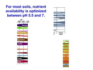 For most soils, nutrient
availability is optimized
 between pH 5.5 and 7.
 
