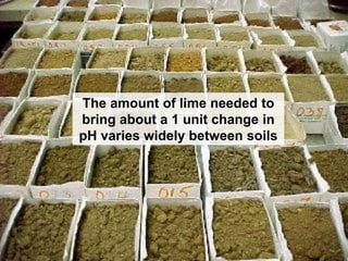 The amount of lime needed to
bring about a 1 unit change in
pH varies widely between soils
 