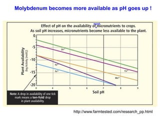 Molybdenum becomes more available as pH goes up !

                               most
                                ^




                     http://www.farmtested.com/research_pp.html
 