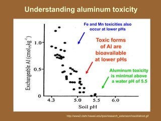 Understanding aluminum toxicity
                         Fe and Mn toxicities also
                            occur at lower pHs

                                   Toxic forms
                                     of Al are
                                   bioavailable
                                   at lower pHs
                                               Aluminum toxicity
                                               is minimal above
                                                a water pH of 5.5




           http://www2.ctahr.hawaii.edu/tpss/research_extension/rxsoil/alroot.gif
 