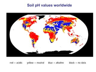 Soil Acidity_Soil-Science-2600.pdf