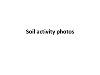 Soil activity photos
 