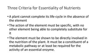 Three Criteria for Essentiality of Nutrients
• A plant cannot complete its life-cycle in the absence of
the element
• The action of the element must be specific, with no
other element being able to completely substitute for
it
• The element must be shown to be directly involved in
the nutrition of the plant. It must be a constituent of a
metabolic pathway or at least be required for the
activity of an essential enzyme.
 