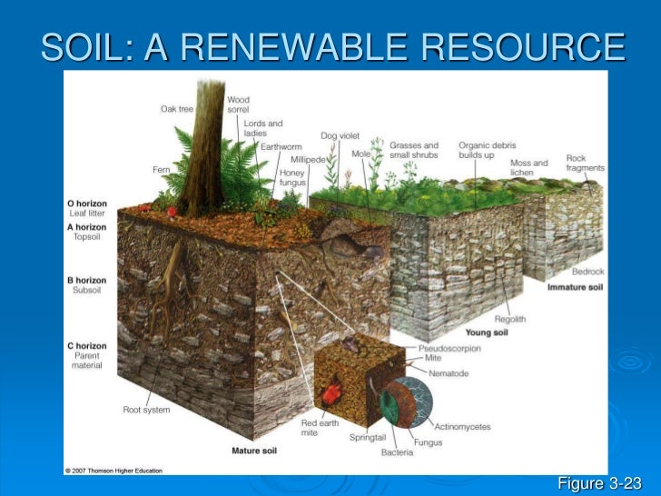 Soil Is A Natural Renewable Resource Soil Is A Natural Renewable Resource