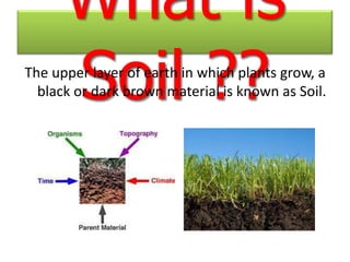 What is
      Soil ??
The upper layer of earth in which plants grow, a
  black or dark brown material is known as Soil.
 
