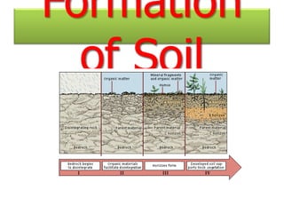 Formation
  of Soil
 