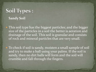 Sandy Definition Soil and its origin | PPTX