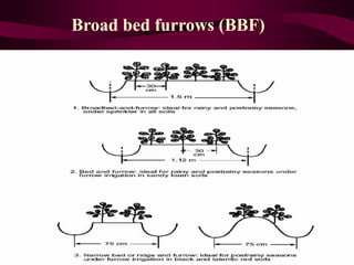 Broad bed furrows (BBF)
 