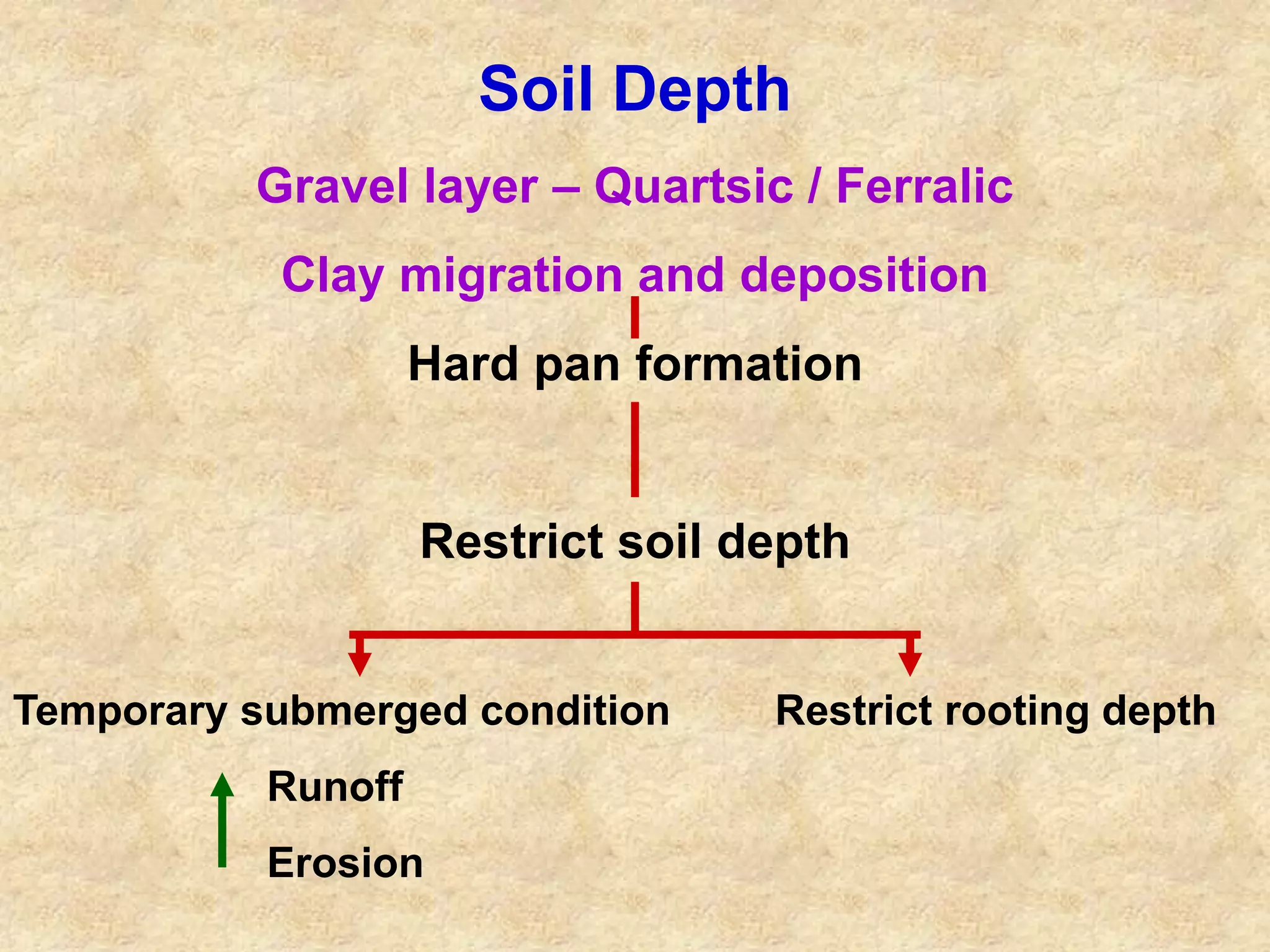 Soil Depth 
Gravel layer – Quartsic / Ferralic 
Clay migration and deposition 
Hard pan formation 
Restrict soil depth 
Temporary submerged condition Restrict rooting depth 
Runoff 
Erosion 
 