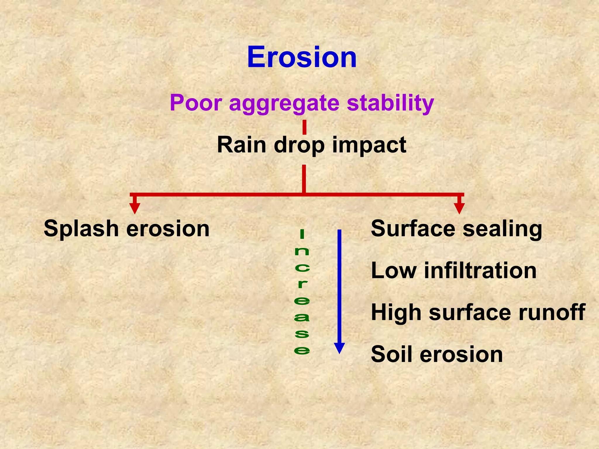 Erosion 
Poor aggregate stability 
Rain drop impact 
Splash erosion Surface sealing 
Low infiltration 
High surface runoff 
Soil erosion 
 