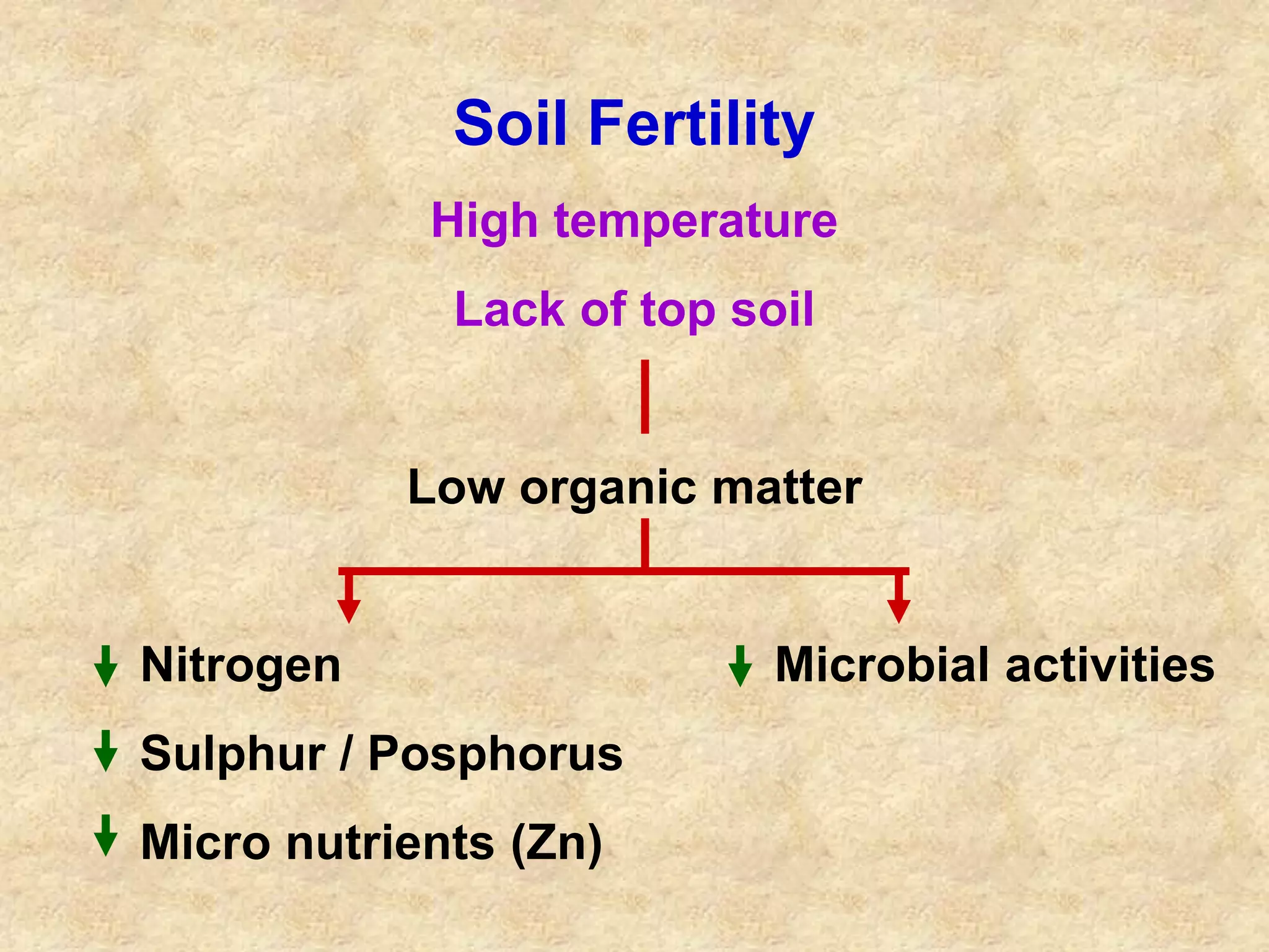 Soil Fertility 
High temperature 
Lack of top soil 
Low organic matter 
Nitrogen Microbial activities 
Sulphur / Posphorus 
Micro nutrients (Zn) 
 