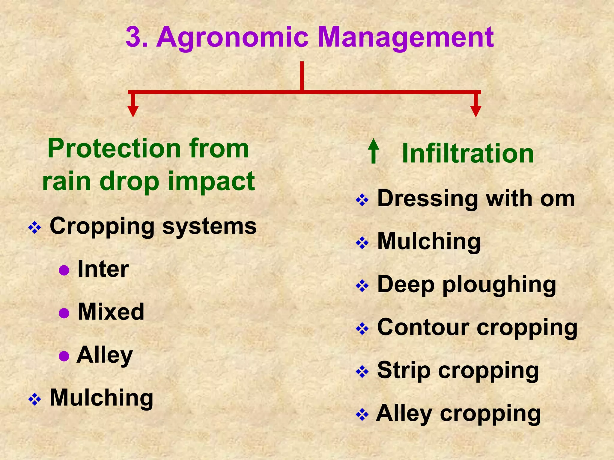 3. Agronomic Management 
Protection from 
rain drop impact 
 Cropping systems 
 Inter 
 Mixed 
 Alley 
 Mulching 
Infiltration 
 Dressing with om 
 Mulching 
 Deep ploughing 
 Contour cropping 
 Strip cropping 
 Alley cropping 
 