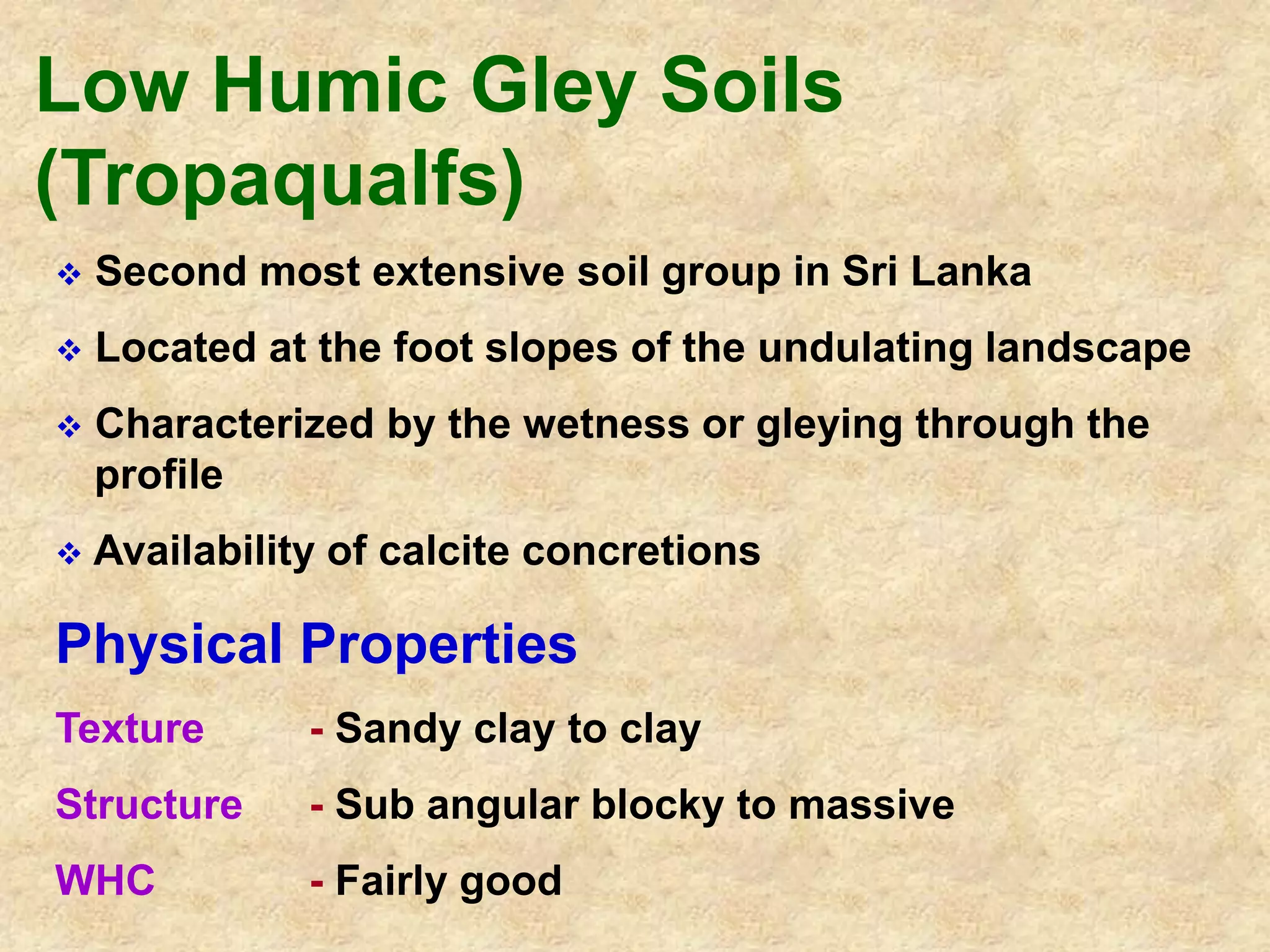 Low Humic Gley Soils 
(Tropaqualfs) 
 Second most extensive soil group in Sri Lanka 
 Located at the foot slopes of the undulating landscape 
 Characterized by the wetness or gleying through the 
profile 
 Availability of calcite concretions 
Physical Properties 
Texture - Sandy clay to clay 
Structure - Sub angular blocky to massive 
WHC - Fairly good 
 