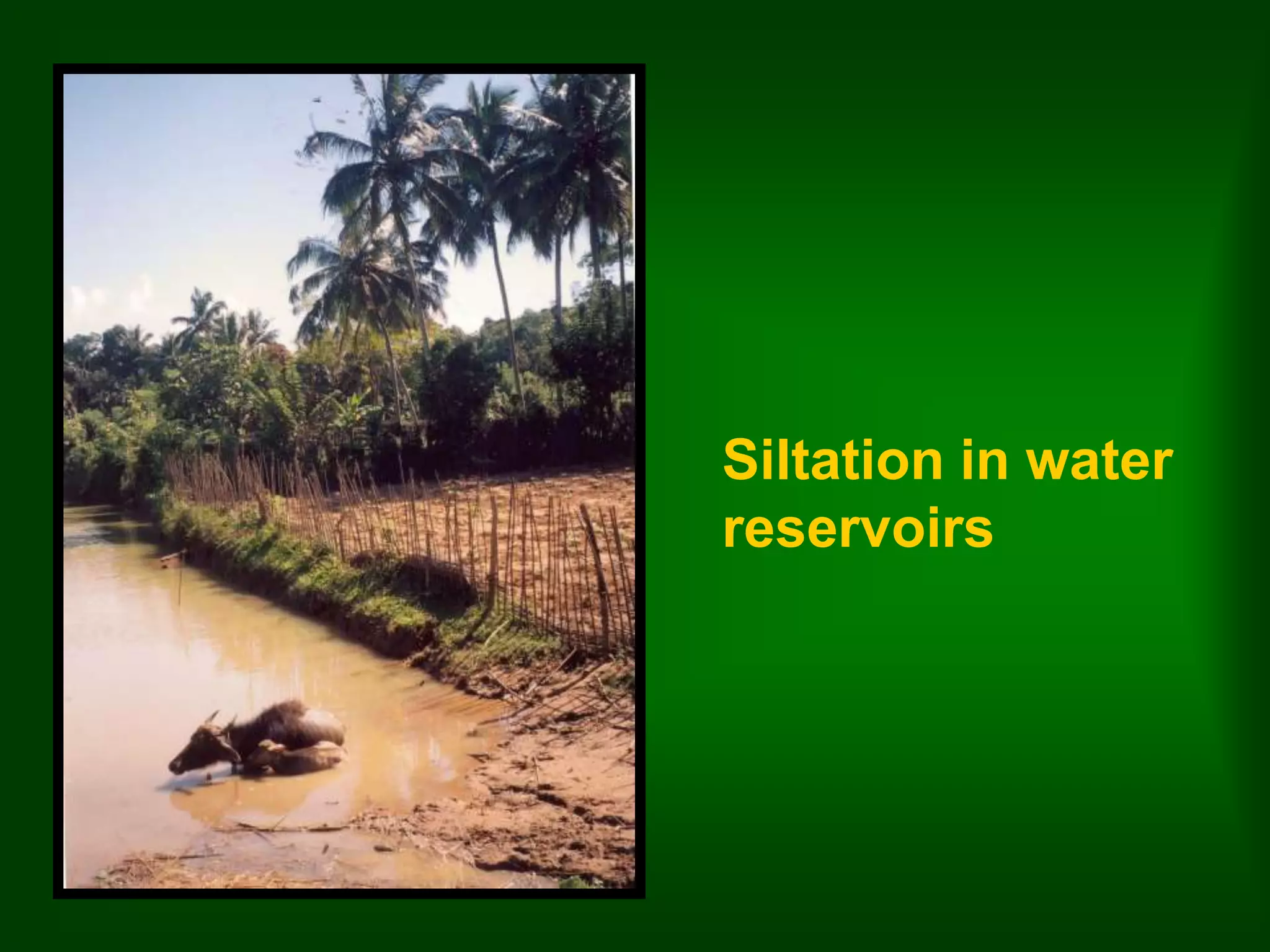 Siltation in water 
reservoirs 
 