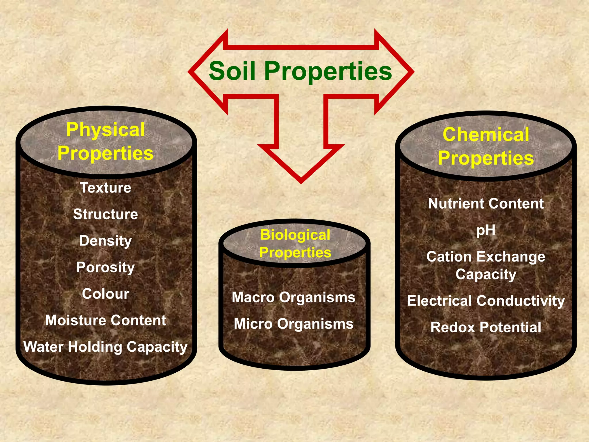 Soil Properties 
Physical 
Properties 
Texture 
Structure 
Density 
Porosity 
Colour 
Moisture Content 
Water Holding Capacity 
Chemical 
Properties 
Nutrient Content 
pH 
Cation Exchange 
Capacity 
Electrical Conductivity 
Redox Potential 
Biological 
Properties 
Macro Organisms 
Micro Organisms 
 