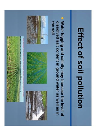 Soil and water pollution | PDF