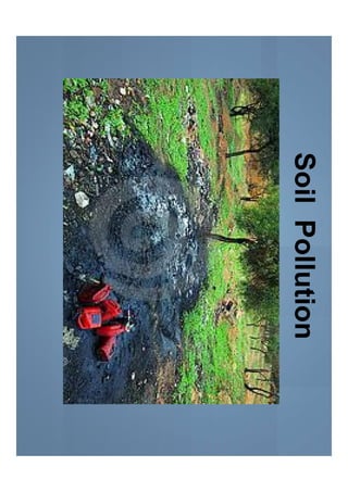 Soil and water pollution | PDF
