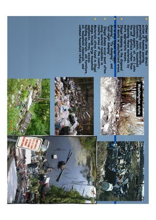 Soil and water pollution | PDF