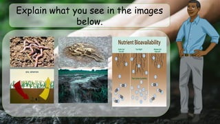 Explain what you see in the images
below.
 