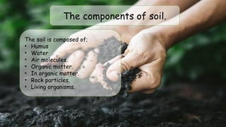 The soil is composed of;
• Humus
• Water
• Air molecules.
• Organic matter.
• In organic matter.
• Rock particles.
• Living organisms.
The components of soil.
 