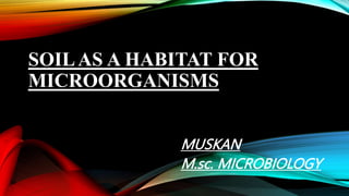 SOILAS A HABITAT FOR
MICROORGANISMS
MUSKAN
M.sc. MICROBIOLOGY
 